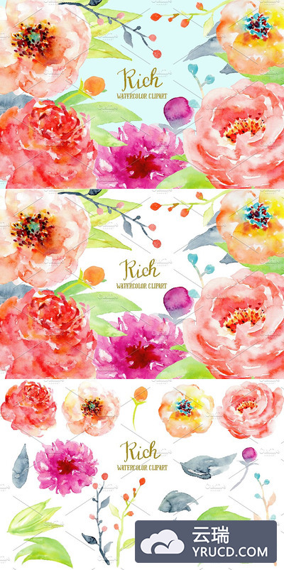 水彩牡丹花剪贴画 Watercolor Peony Clipart Rich