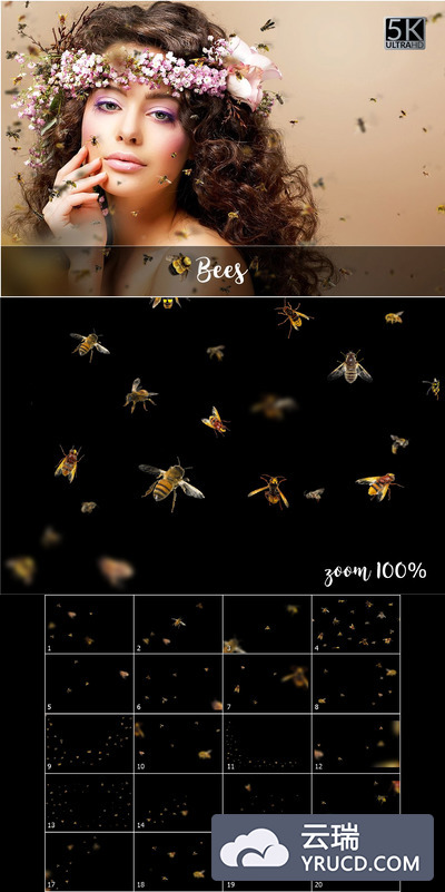 5k蜜蜂元素 5K Bees Overlays