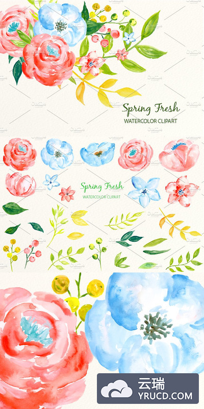 春季蓝粉色系水彩花卉插画 Watercolor Clipart Spring Fresh