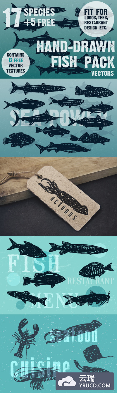 手绘鱼类插画 Hand-drawn fish vectors