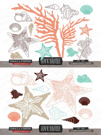 海洋元素插画 Coral starfish shell vector
