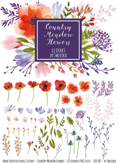 水彩插画素材 Watercolor Meadow Flowers