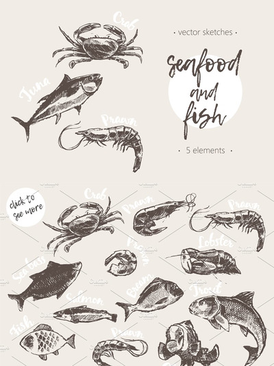海鲜素描素材插画 Set of hand drawn seafood and fish