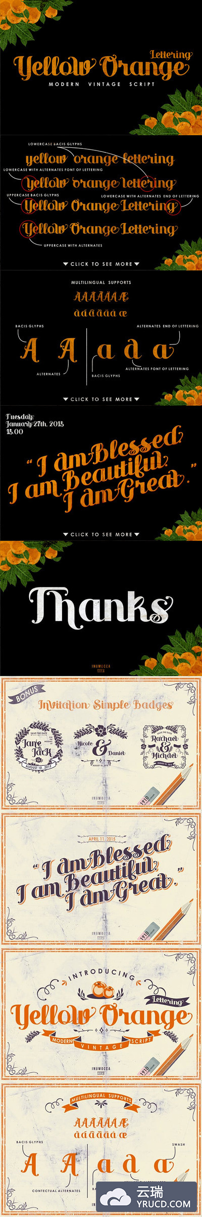 字体 | 橙色复古衬线连笔现代英文脚本文字