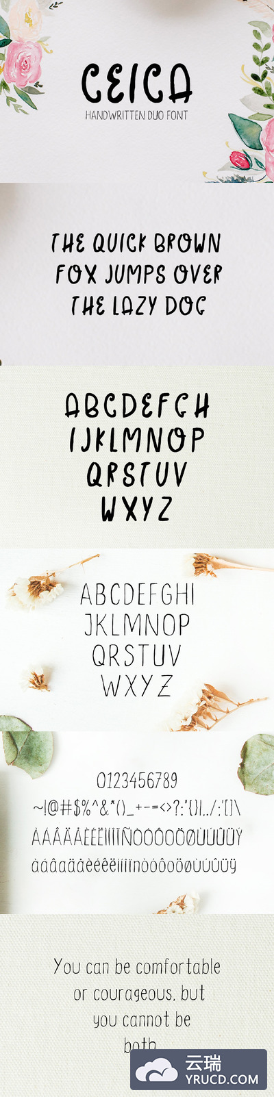 手写花卉字体 Ceica Handwritten Duo Font + Bonus