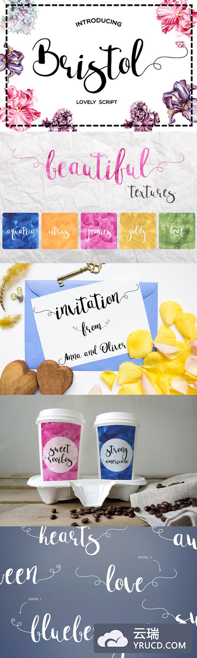 漂亮的手写字体 Bristol Script Font