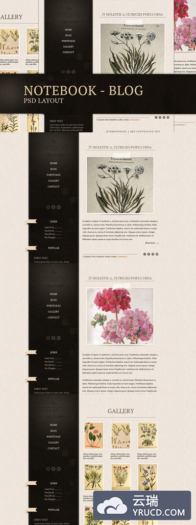 怀旧设计网站模板 Notebook - blog template