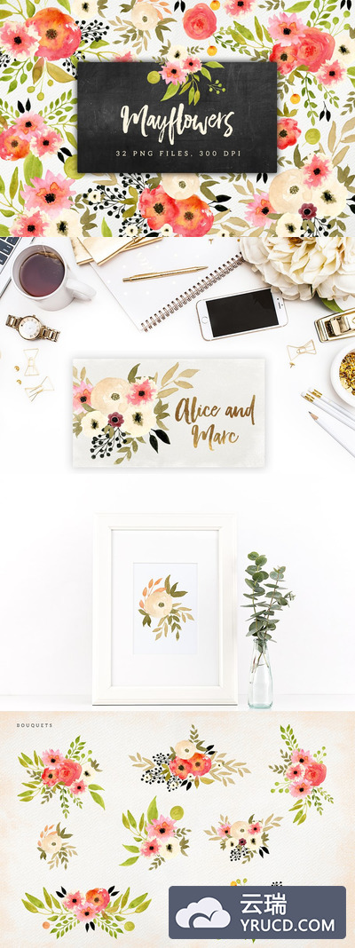 水彩花卉元素 Mayflowers