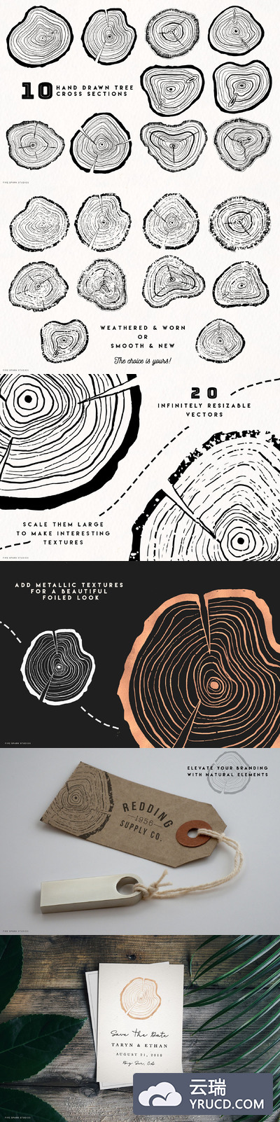 手绘树木插画 Timber - Hand Drawn Vector Image Set