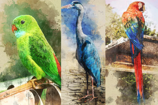 飞溅艺术水彩效果ps动作下载