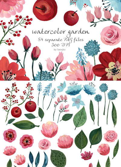 手绘花卉素材插画 Hand Painted Floral Set