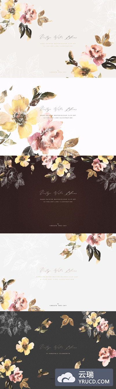 柔和优雅的水墨花朵矢量插画系列 Vintage Water Blooms