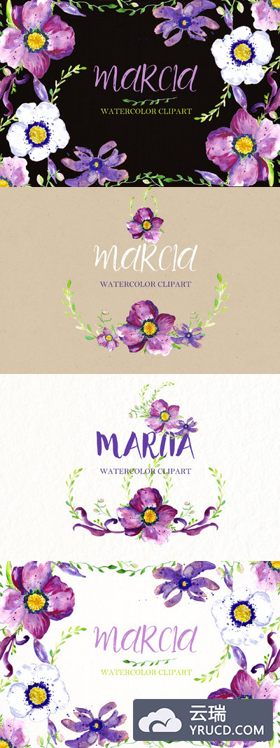 水彩花卉素材插画 Watercolor clipart Anemone flowers.