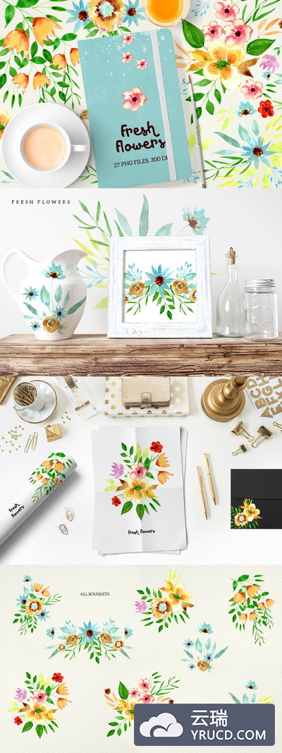 手工彩绘鲜花插画设计素材 Fresh Flowers