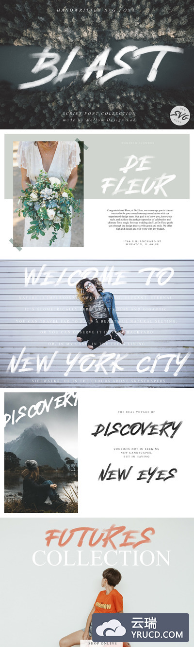 手写书法字体 Blast SVG Font