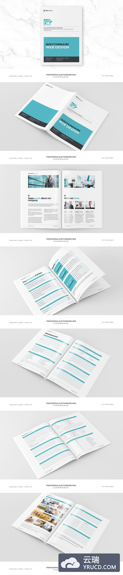 专业的问卷调查画册模板 Professional Questionnaire Web