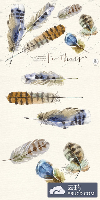 手绘水彩羽毛插画 Watercolor feathers, handpainted