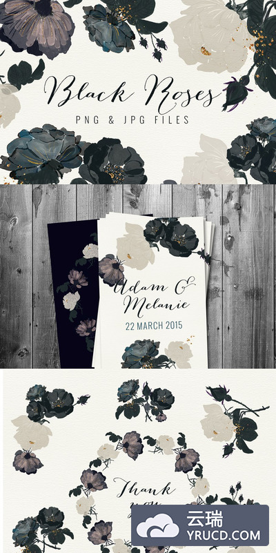 黑色玫瑰插画 Black Roses