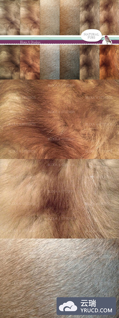 天然皮毛背景纹理 Natural Fur Digital Paper Collection