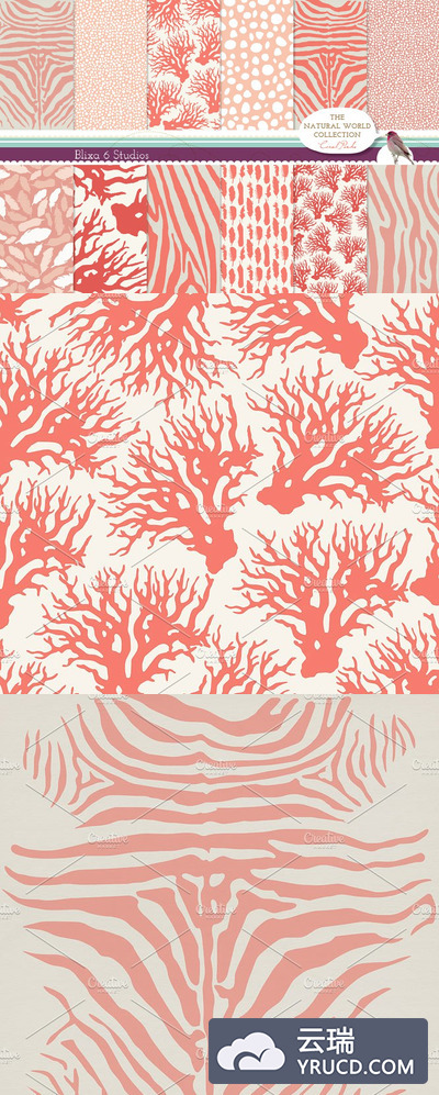 天然动物图案数码纸 Natural Animal Pattern Digital Paper