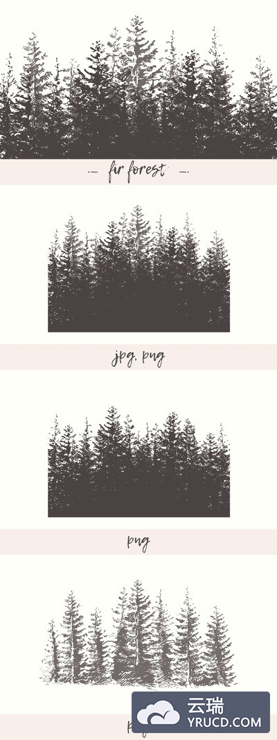 冷杉林的素描背景插画 Fir forest background