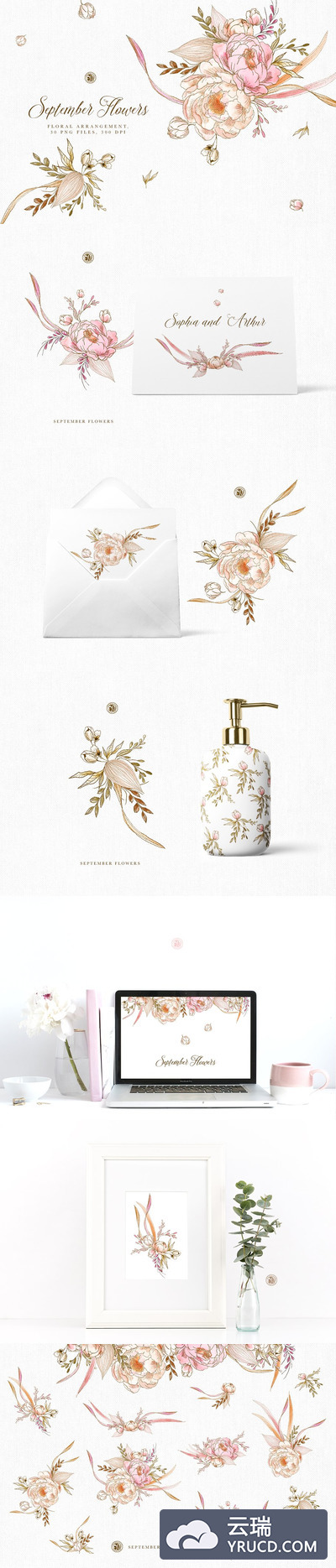 九月花卉插画素材 September Flowers