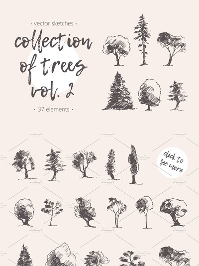 树木素描插画 Collection of hand drawn trees