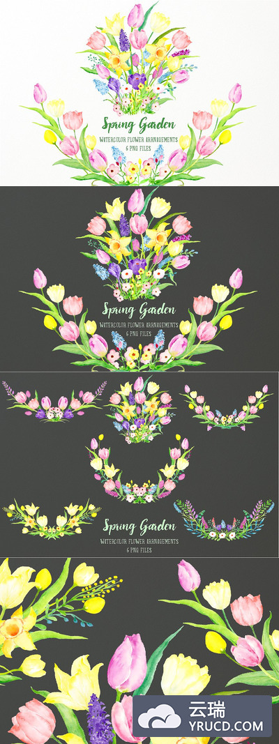 春季花园花卉素材插画 Spring Garden Flower Arrangements