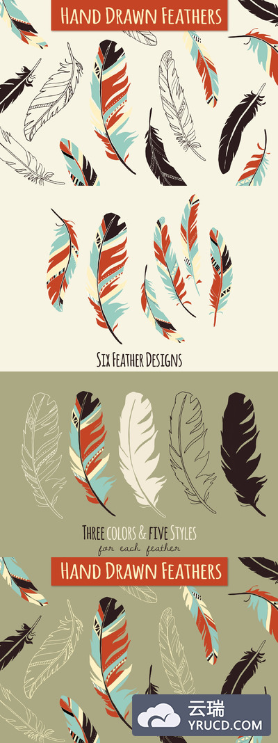 手绘羽毛元素插画 Feather Elements / Hand Drawn
