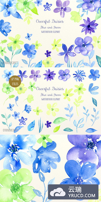 欢快的水彩雏菊插画 Cheerful daisy Blue Green