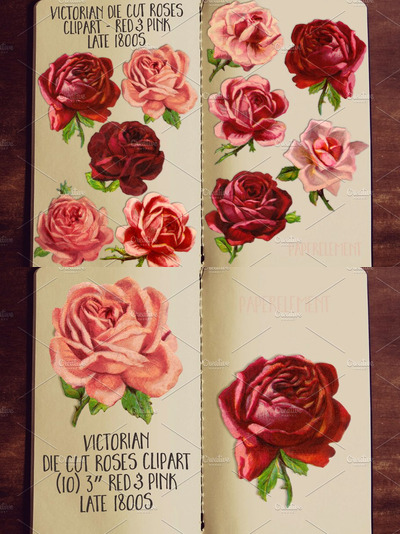 复古水彩玫瑰插画 Pink & Red Rose Clipart Flowers