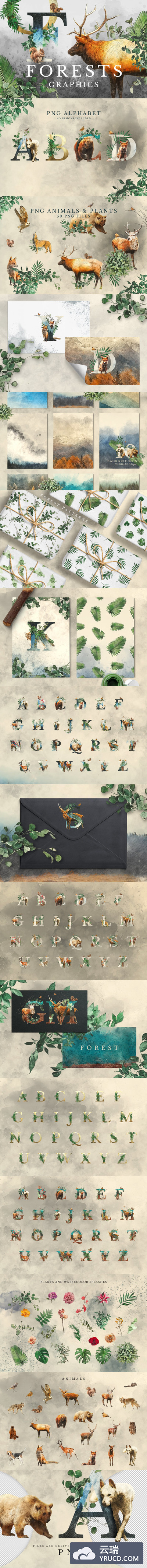 插画 | 夏天自然森林动物植物花卉水彩手绘无缝模式花纹字母插图