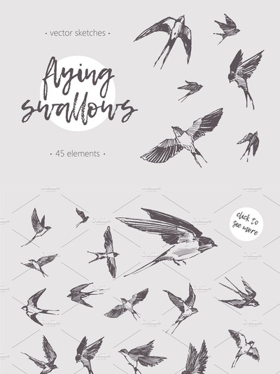 手绘燕子素描插画 Sketches of flying swallows