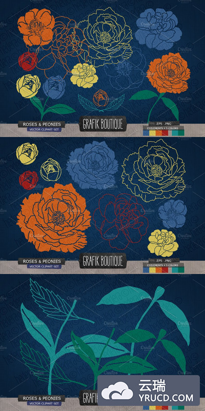 花卉图案素材插画 Roses peonies flower navy