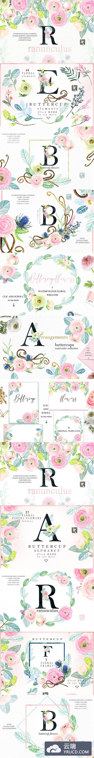 插画 | 粉红色夏季花朵花卉元素设计手绘毛茛属水彩剪贴画