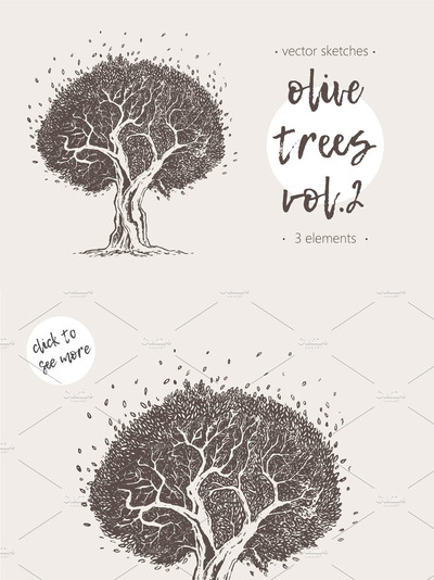 树木素描插画素材 Set of illustrations of olive trees