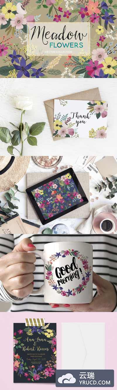 草地牧场矢量插画 Meadow Flowers Vector Collection