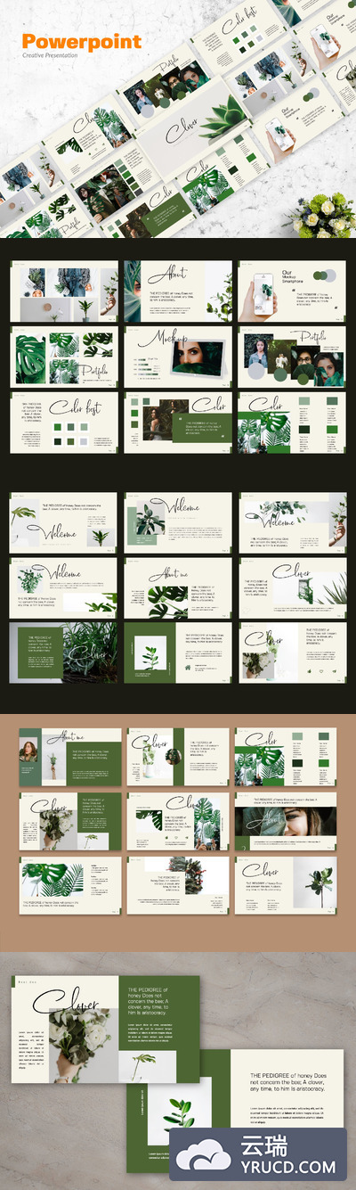 绿色环保高端文艺绿植相关内容的PPT模板 优秀ppt模板 好看的ppt模板下载[PPTX]