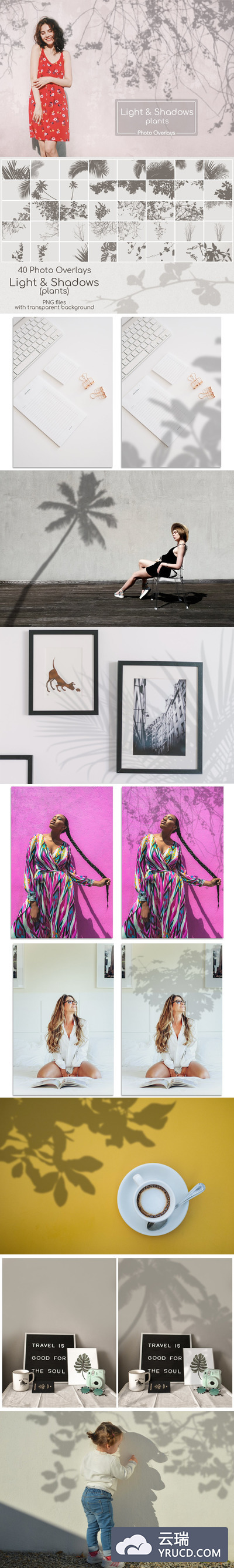 40个植物阴影叠层素材