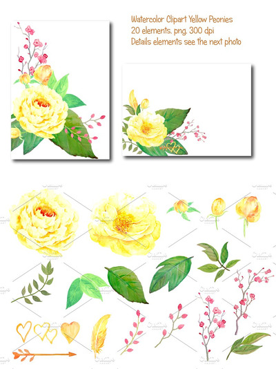 水彩婚礼花卉素材 Wedding Watercolor Yellow Peony