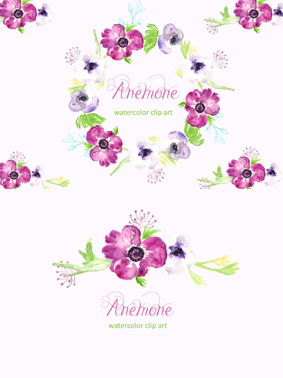 水彩花卉插画 Anemone watercolor clipart