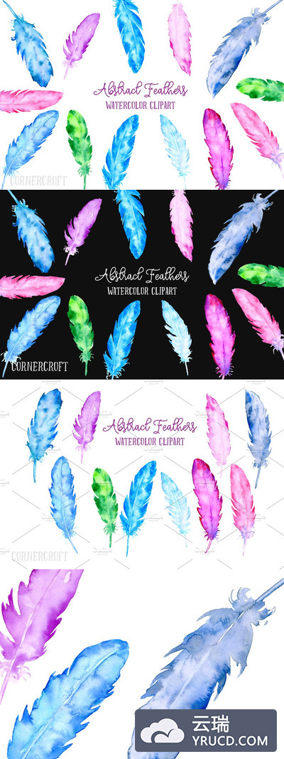 抽象水彩羽毛插画 Watercolor Abstract Feather Clip Art