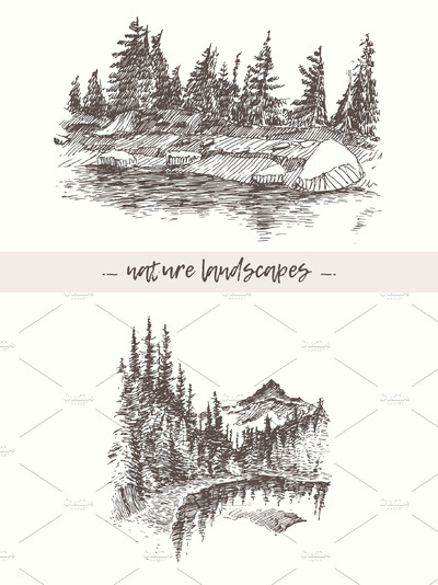 树林素描插画 Landscapes with fir forest