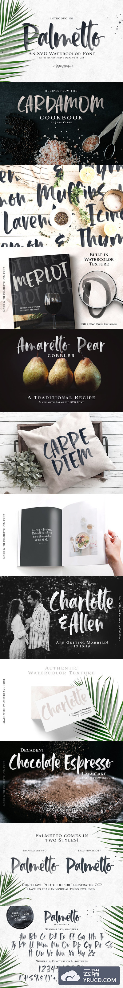 英文书法设计字体 Palmetto SVG Font