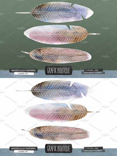 手绘水彩羽毛素材 Hand painted watercolor feathers