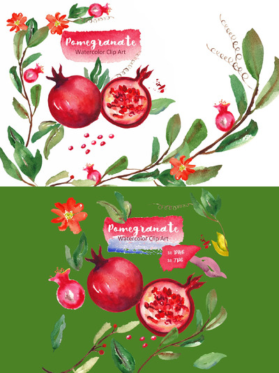水彩石榴花卉插画 Pomegranate. Watercolor Clipart