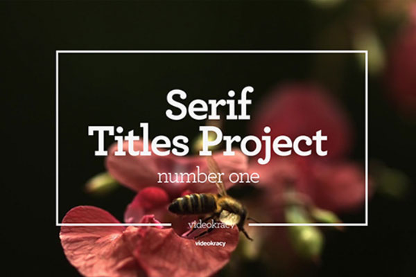 衬线字体标题文字动画视频模板[mogrt]