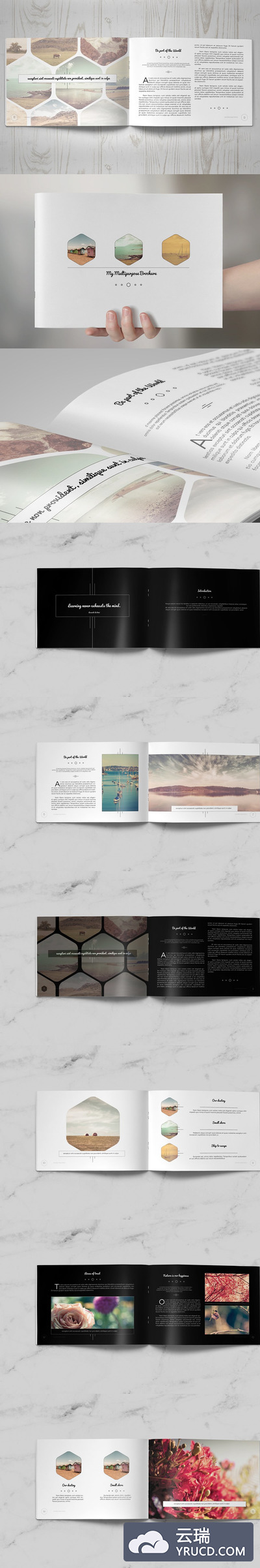 多用途画册模板 Multipurpose Clean Brochure