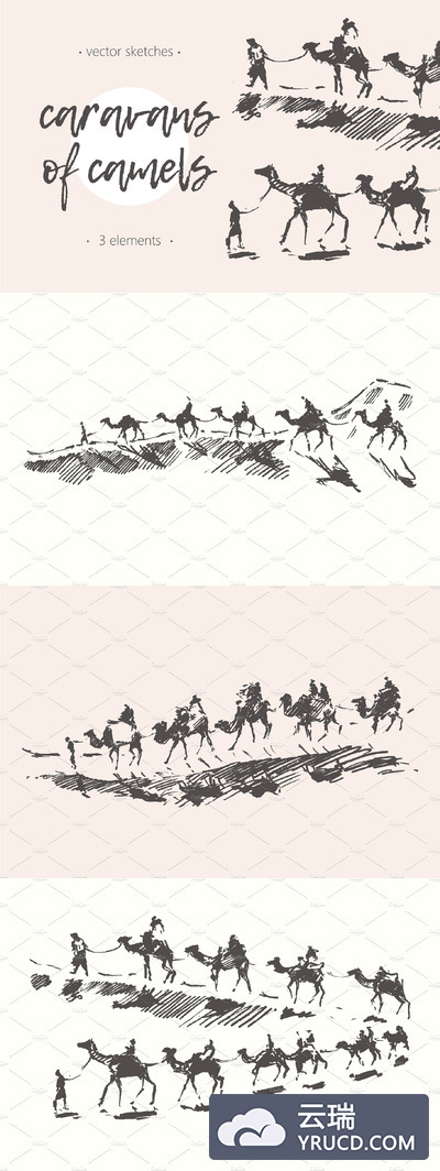 骆驼的商队素描插画 Caravans of camels