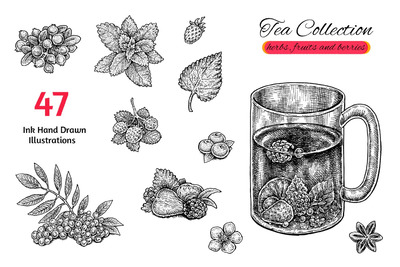 插图 | 黑白线稿肌理茶具水果香草浆果手绘粗略系列图集